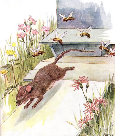 "Eles correram para mim zumbindo e zumbindo e tentaram arder", ilustração de "O Livro Mousie Malicioso", publicado por Thomas Nelson und Sons, na década de 1920 de Anne Anderson